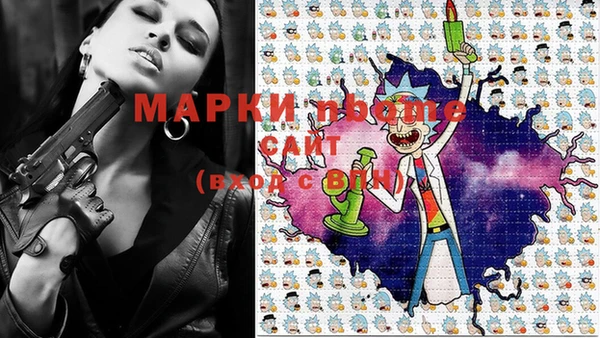 стафф Новозыбков