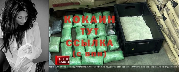 тгк Алексин