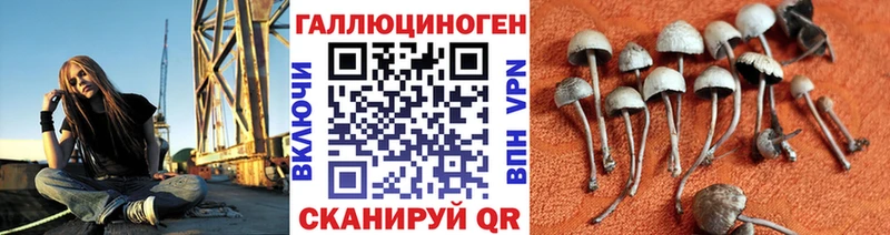 Псилоцибиновые грибы прущие грибы  Малаховка 